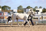 SBM_08461