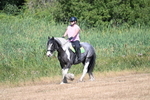 WJ7_8000