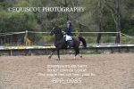 BPP_0985