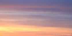 Colour