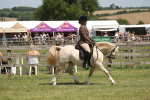 SBM_06883