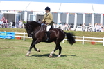 3E7A7104
