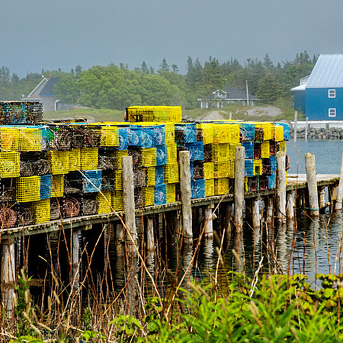 Lobster traps fill a pier along White Head Island on a foggy Bay of Fundy Afternoon.