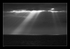 Ray of Sunshine.KJS_8459 BW