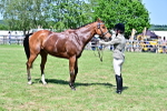 SBM_18184