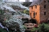Dogwoods in Bloom at the Old Mill