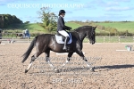 BPP_9462
