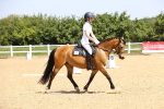 SBM_008526