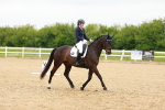 SBM_006885