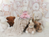 teddys
