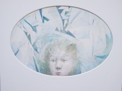 Through the Ice Window