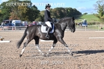 BPP_9090