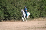 WJ6_6695