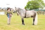 SBM_00658