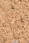 231122A-105516-00114