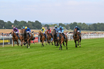 140726-Race 5-Crafty Spirit-1564
