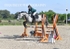 BPP_7966