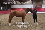 BPP_2580