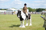 SBM_17237