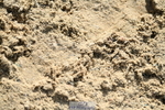 251004A-145422-01577