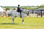 SBM_13195