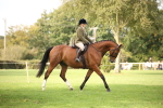 SBM_70364