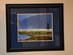 Lamar Valley Morning - Framed  Matted