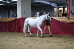SBM_05085