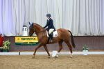 SBM_004240
