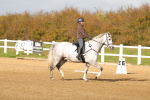 SBM_000909