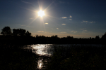 Sun Rays