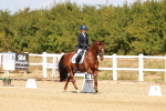 SBM_018323