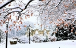 SNOWY ST MARY'S ABBEY   http://www.yorkagainstcancer.org.uk/products/