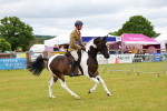 SBM_02675