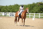 SBM_009490