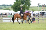 SBM_15801