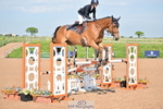 Cls 51 Foxhunter portfolio