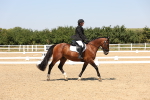 SBM_005064