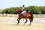 SBM_009588