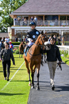 120626-Race 6-Rotokura Belle-8370