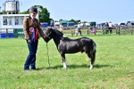 SBM_03687