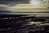 ACP_8986-1
