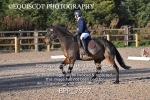 BPP_7937