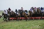 PtP 020122 431