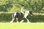 SBM_68995