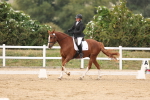 SBM_01462