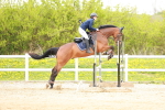 SBM_006005