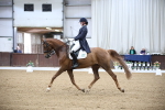 SBM_007533