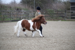 SBM_003932