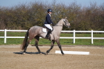 SBM_001062